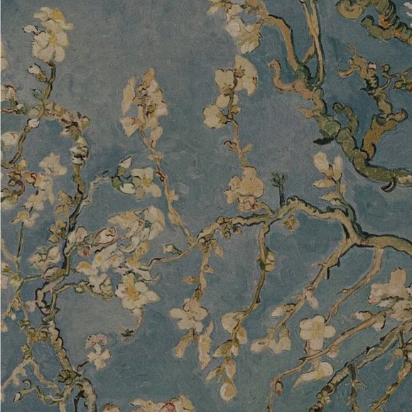 evelyndye
